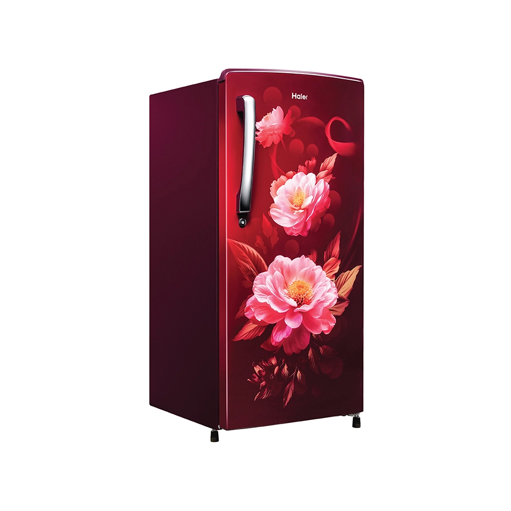 Haier 185L 2 Star Direct Cool Refrigerator - HRD-2062CRV-N